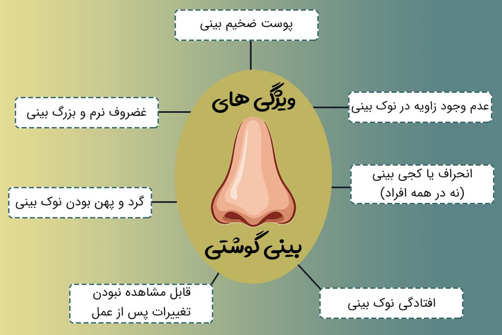 جراحی زیبایی بینی توسط دکتر رضا امیرزرگر فوق تخصص جراحی زیبایی صورت فک دهان دندان